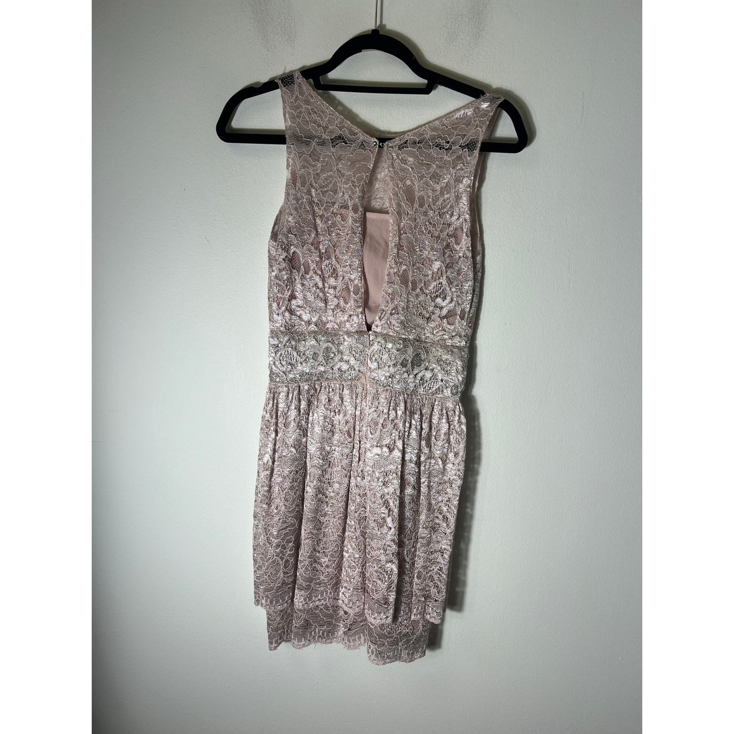 Alexis Blush Pink Lace Overlay Sleeveless Dress Sz S
