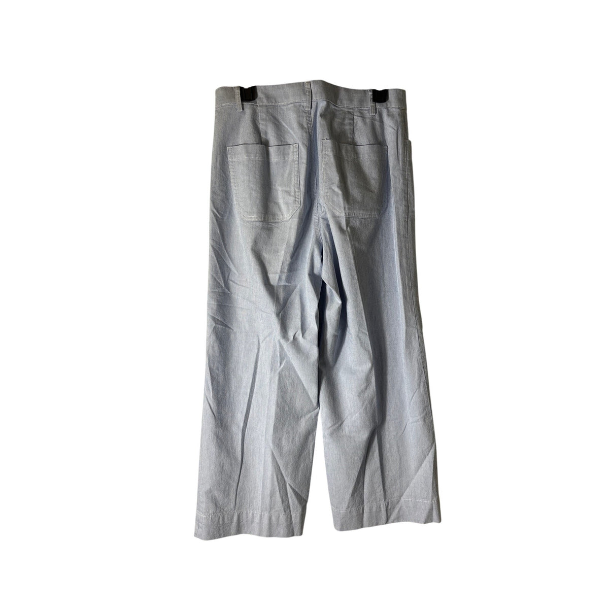J. Crew Blue and White Mini Pin Stripe Pant Sz 27