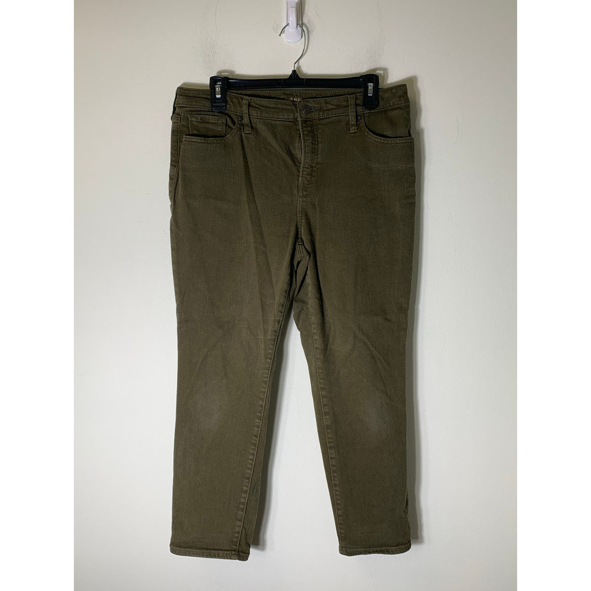 Woman's Bundle of 2 Chicos and Lands End Sz 10P