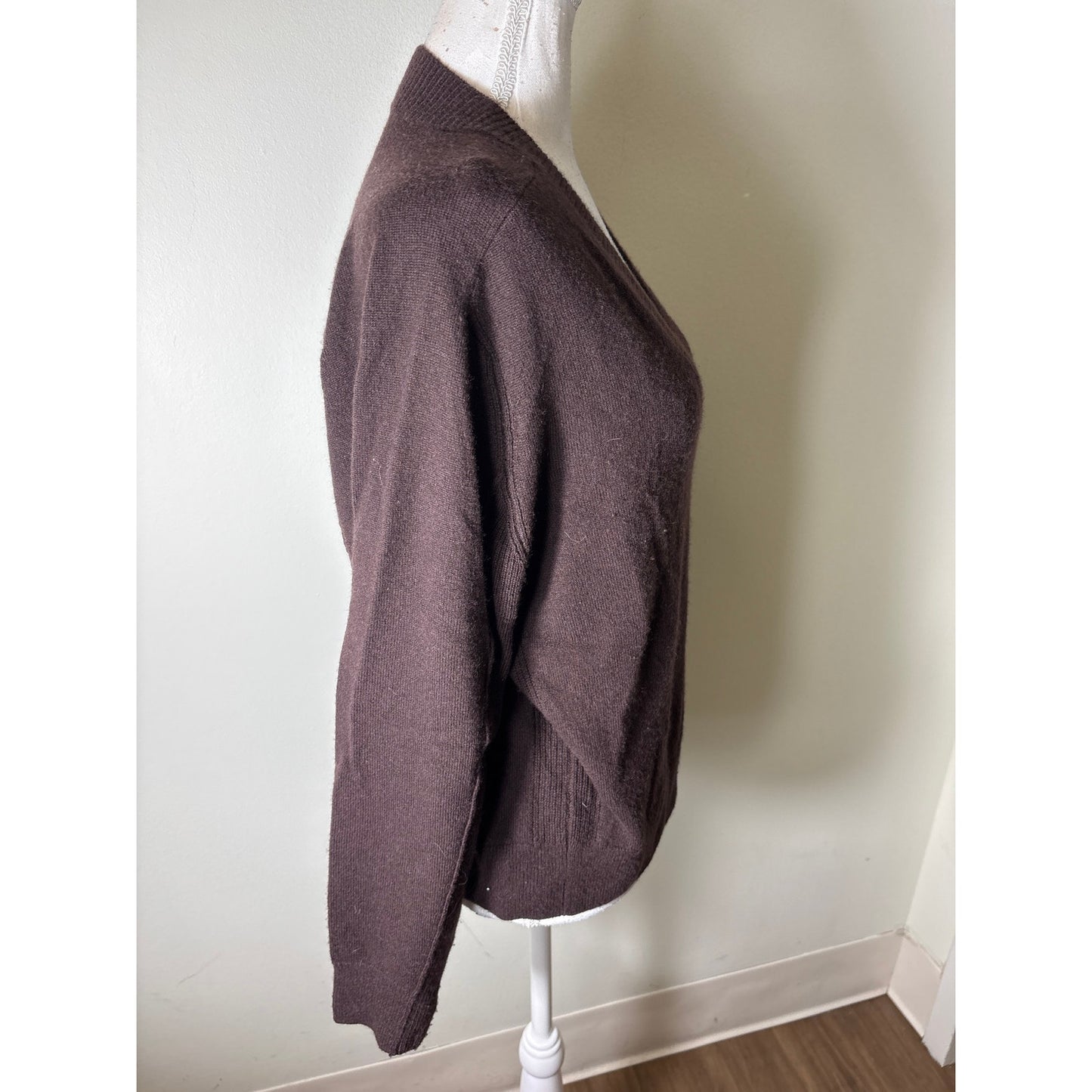 Madewell Merlot Cashmere V Neck Sweater Sz S