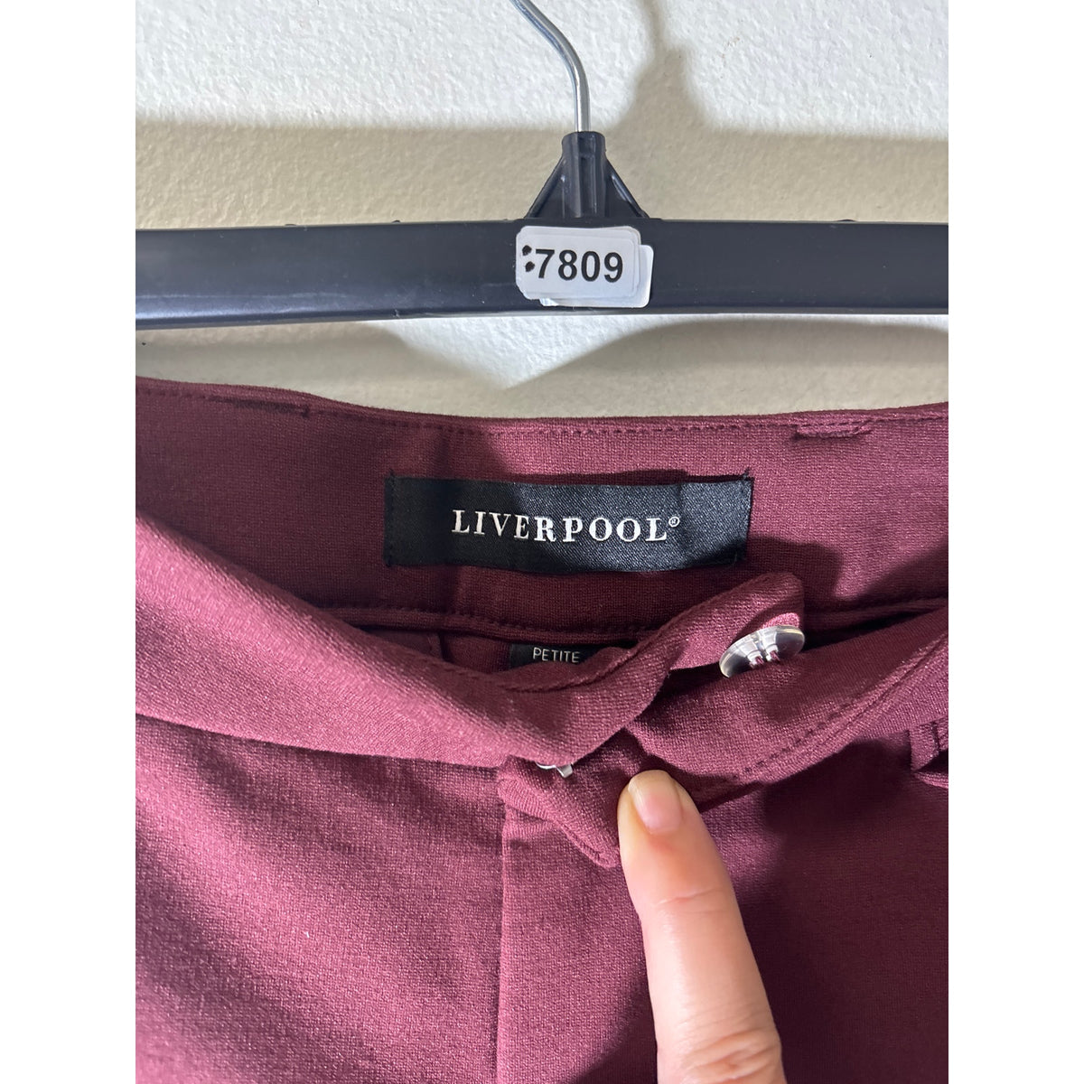 Liverpool Maroon Straight Leg Dress Pants Sz 2P