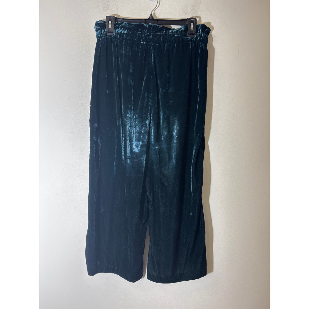 Zara Trafaluc Collection Green Jewel Tone Pull on Velvet Pants Sz M