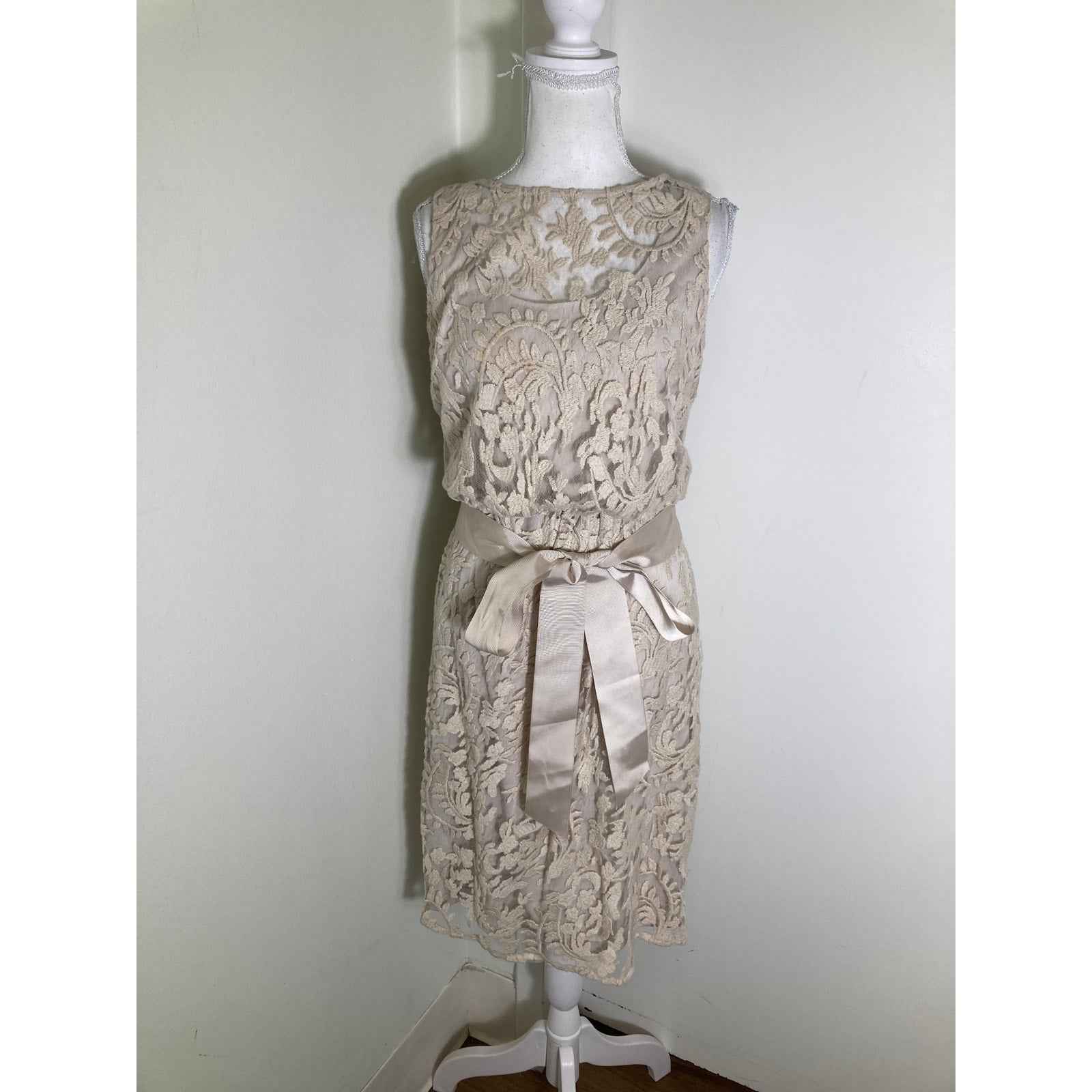 Adrianna Papell Bone Sleeveless Knee Length Dress with Lace Overlay Sz 6