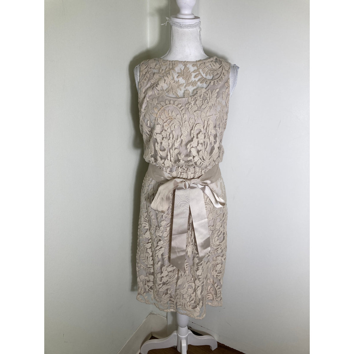 Adrianna Papell Bone Sleeveless Knee Length Dress with Lace Overlay Sz 6
