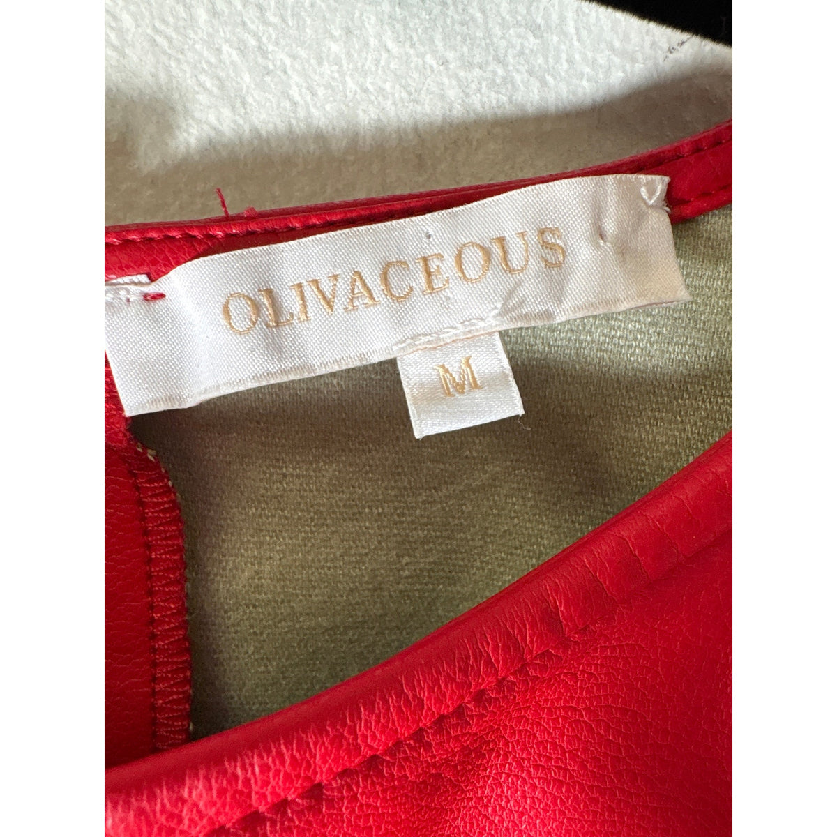 Oliviaceous Red Faux Leather Sleeveless Mini Dress Sz M