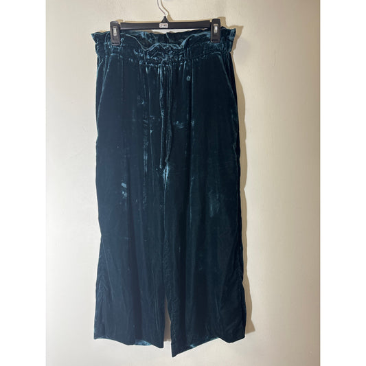 Zara Trafaluc Collection Green Jewel Tone Pull on Velvet Pants Sz M
