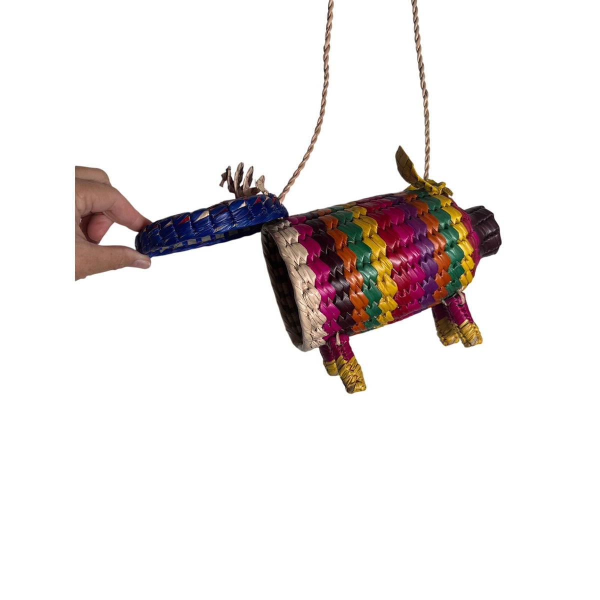 Cochinito Bag Multi Color Handmade Strap Bag