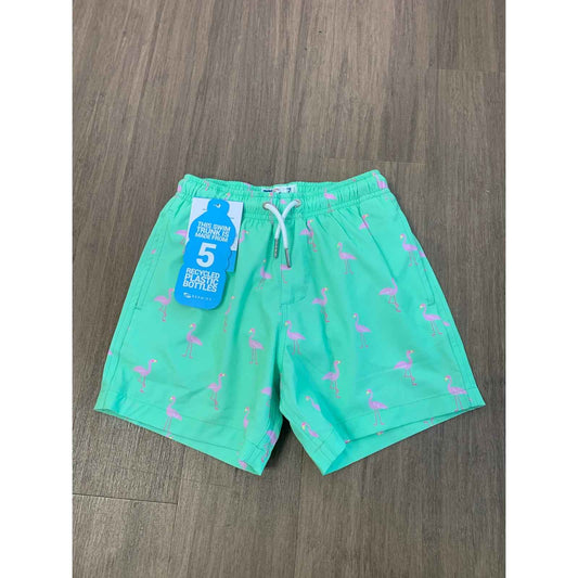 Boys Bundle of 2 Swim Shorts Sz 7
