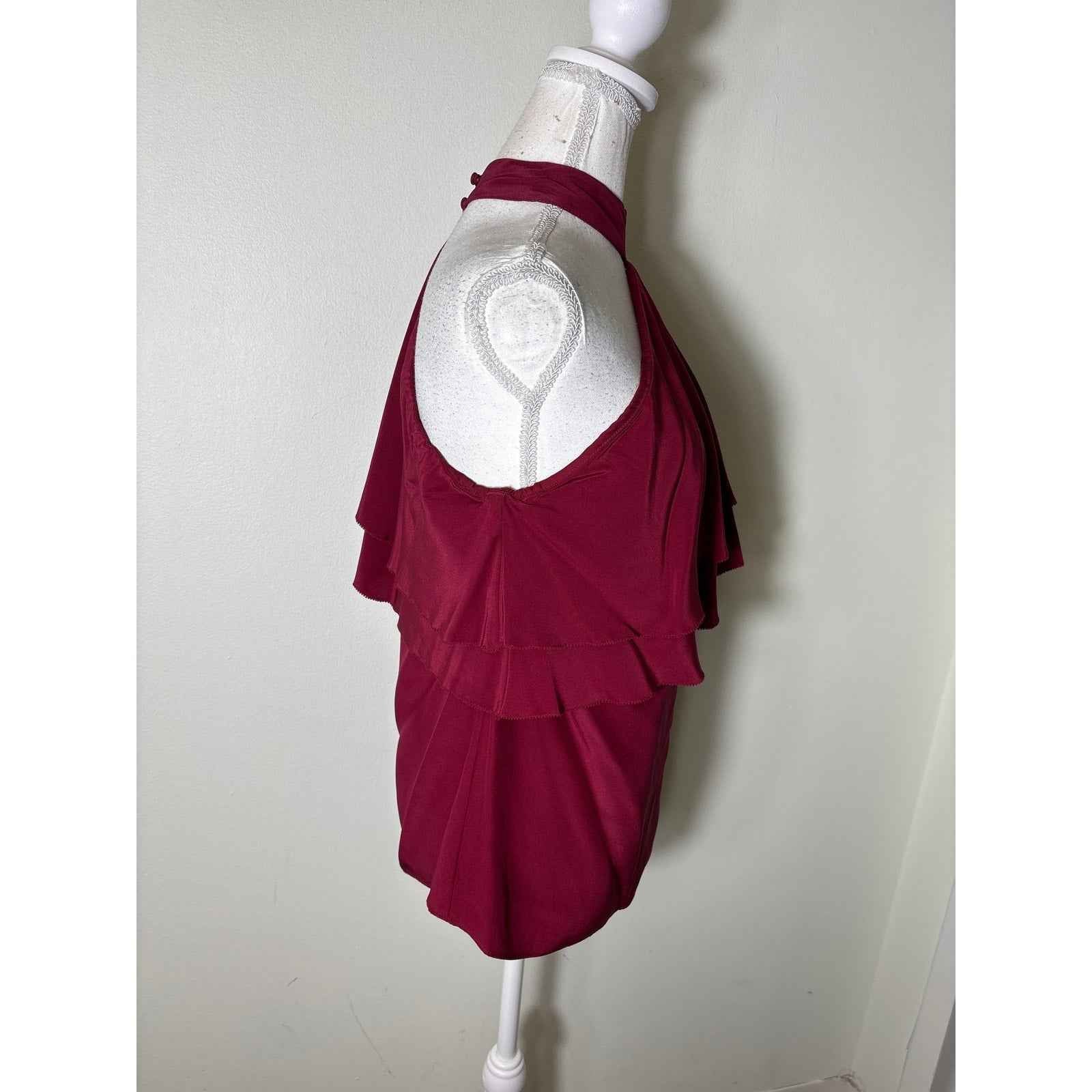 NWT Parker Crimson One Shoulder Long Sleeve Ruffle Top Sz S