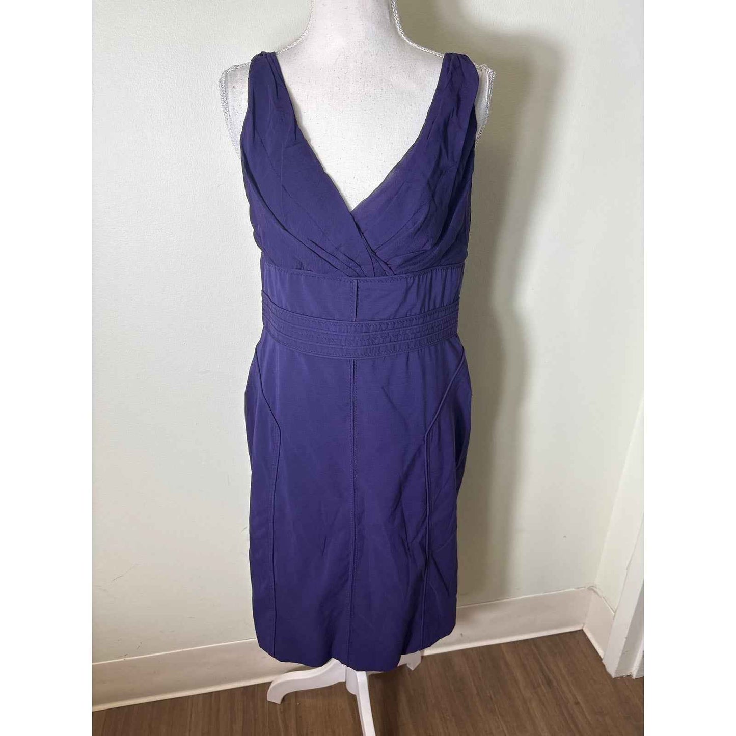 Zac Posen Dark Purple Sleeveless V-Neck Knee Length Dress Sz 12