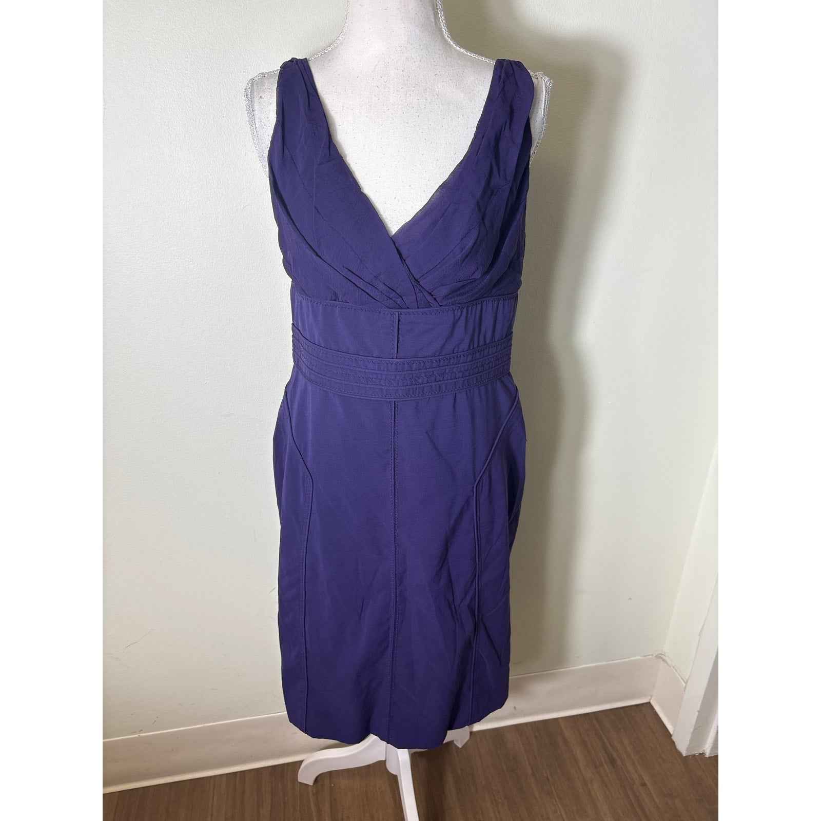 Zac Posen Dark Purple Sleeveless V-Neck Knee Length Dress Sz 12