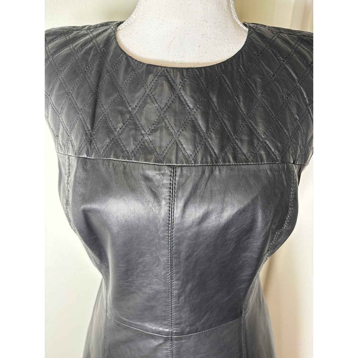 Miss Wu 100% Leather Mini Dress Sz 8