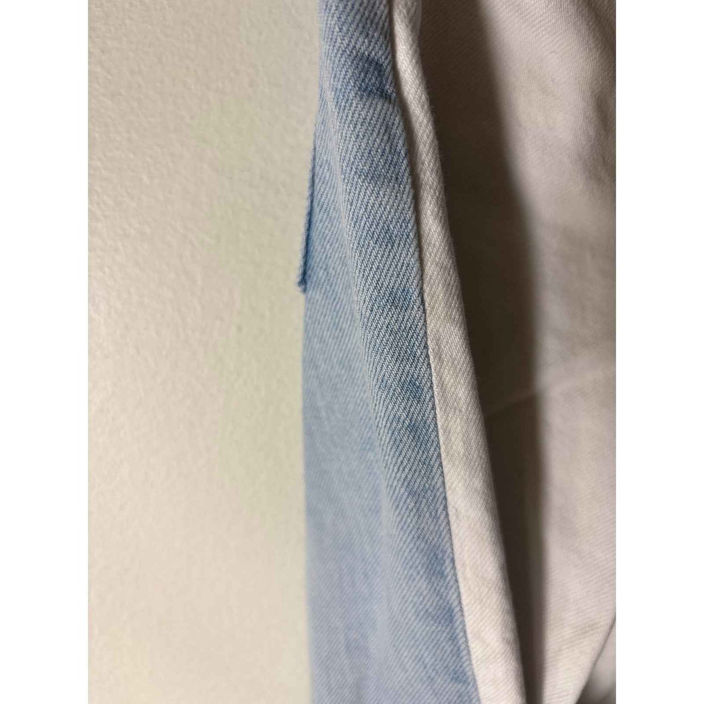 Everlane White/Denim Front/Back Jeans Sz 29R