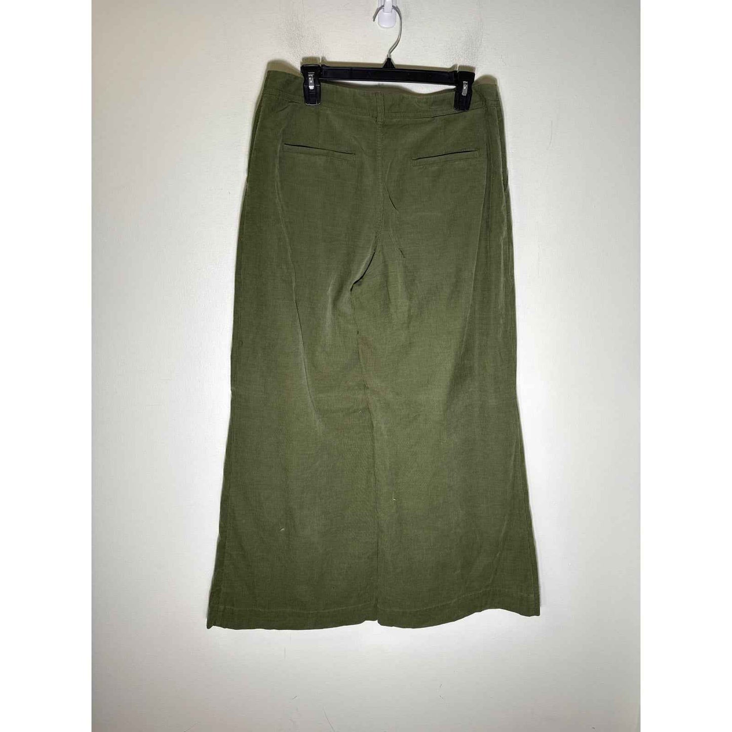 by Anthropologie Forest Green Cordoroy Pleated Wide Leg Pants Sz 29