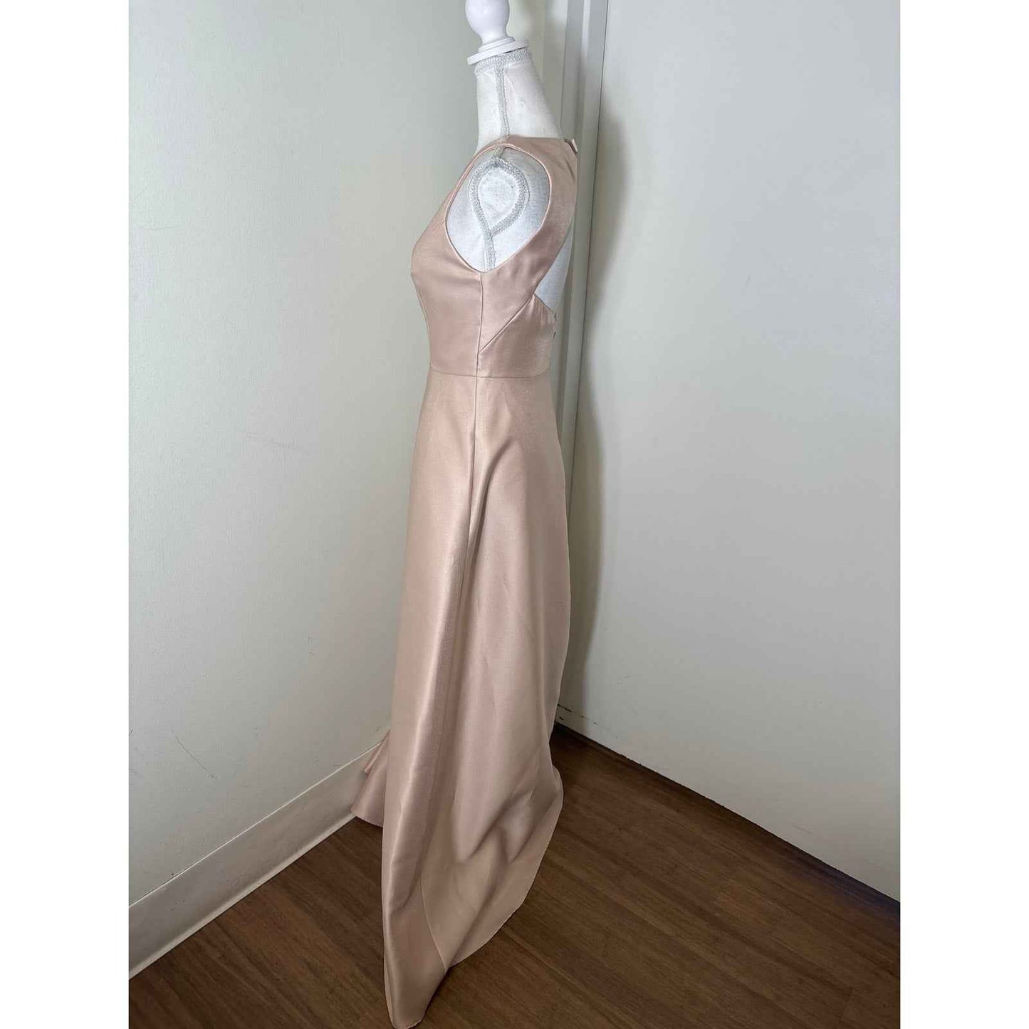 Alfred Sung Champagne Sleeveless A-Line Floor Length Gown sz 6