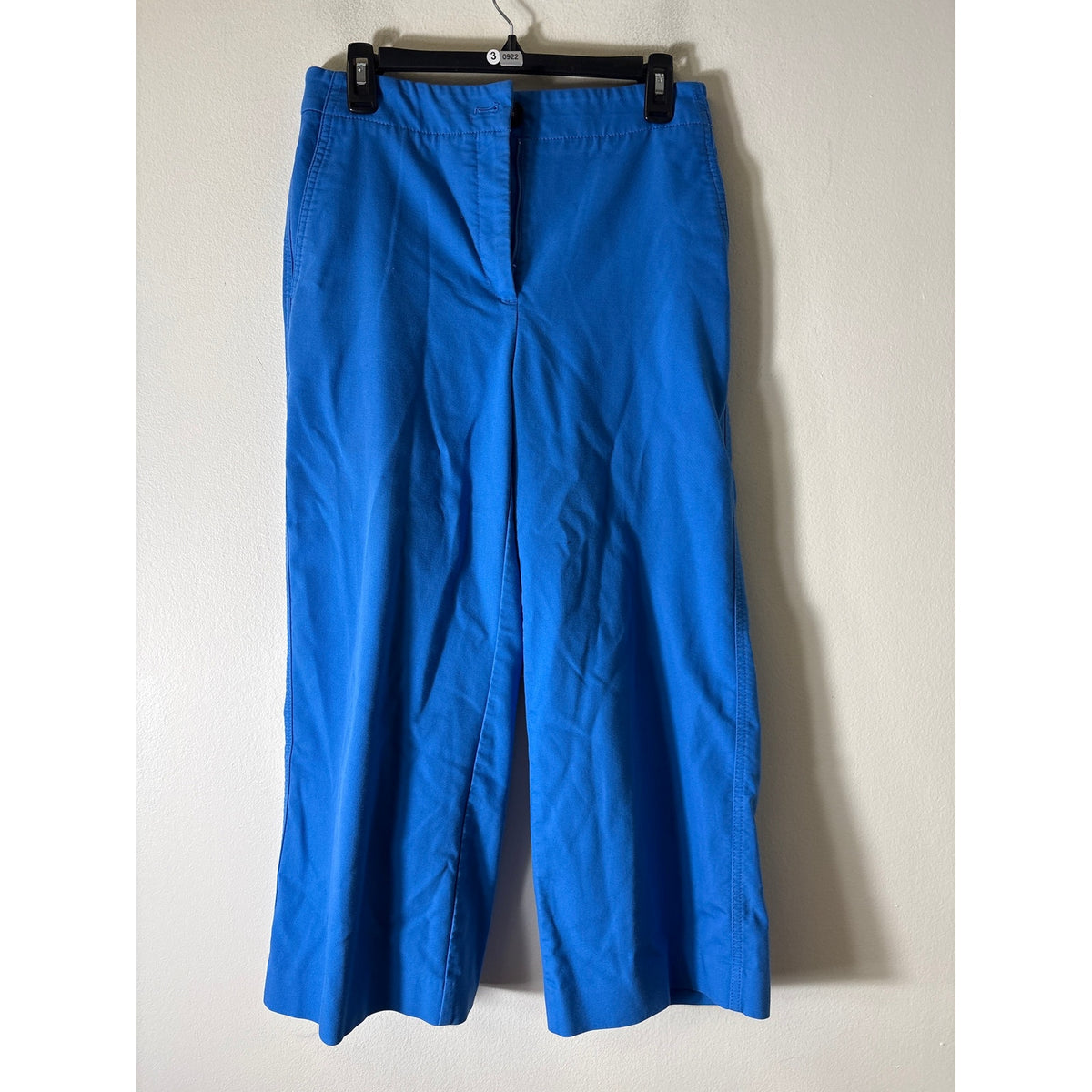 Ann Taylor Bright Blue Wide Leg Ankle Pants Sz 4
