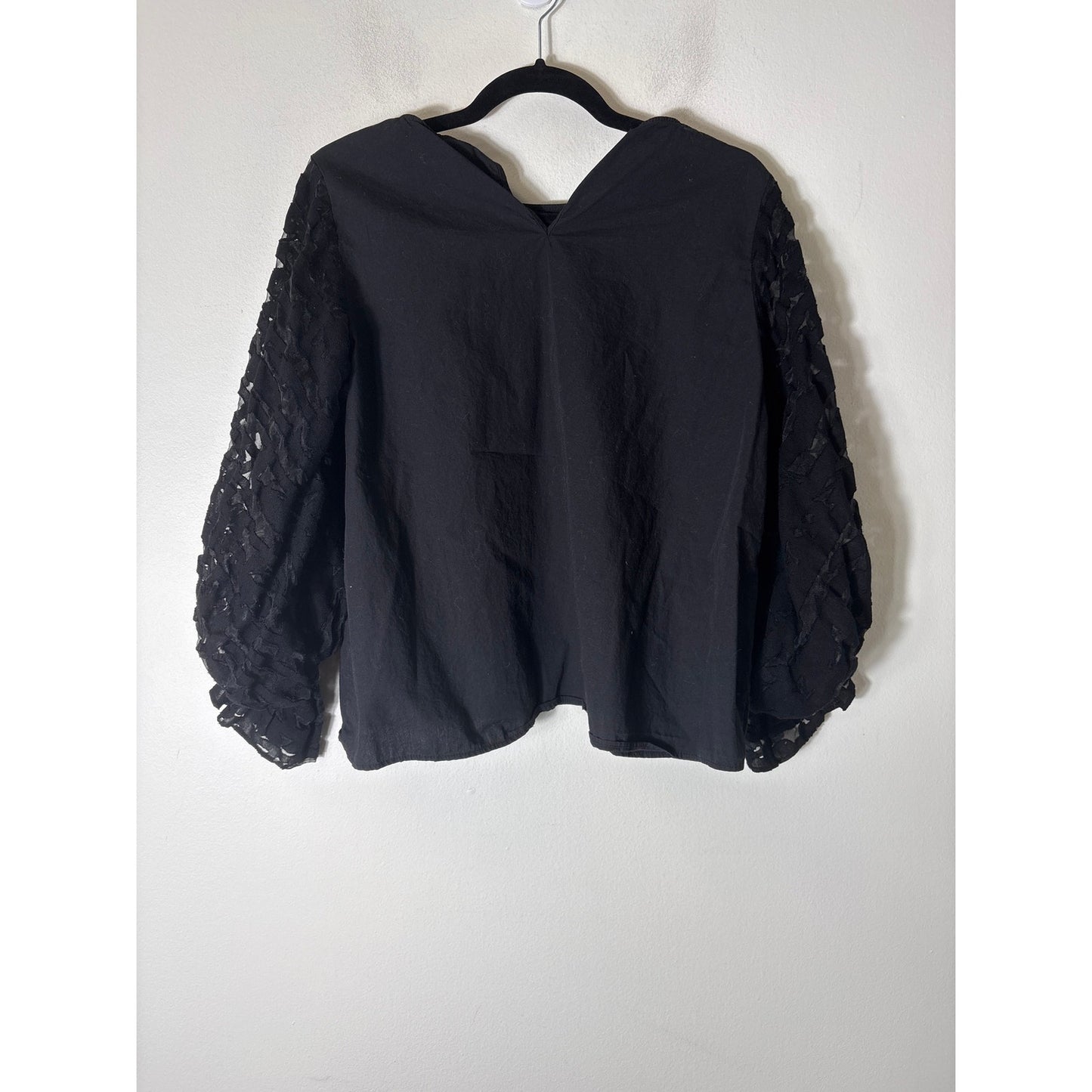 Zara Black Sheer Long Sleeve Top Sz L