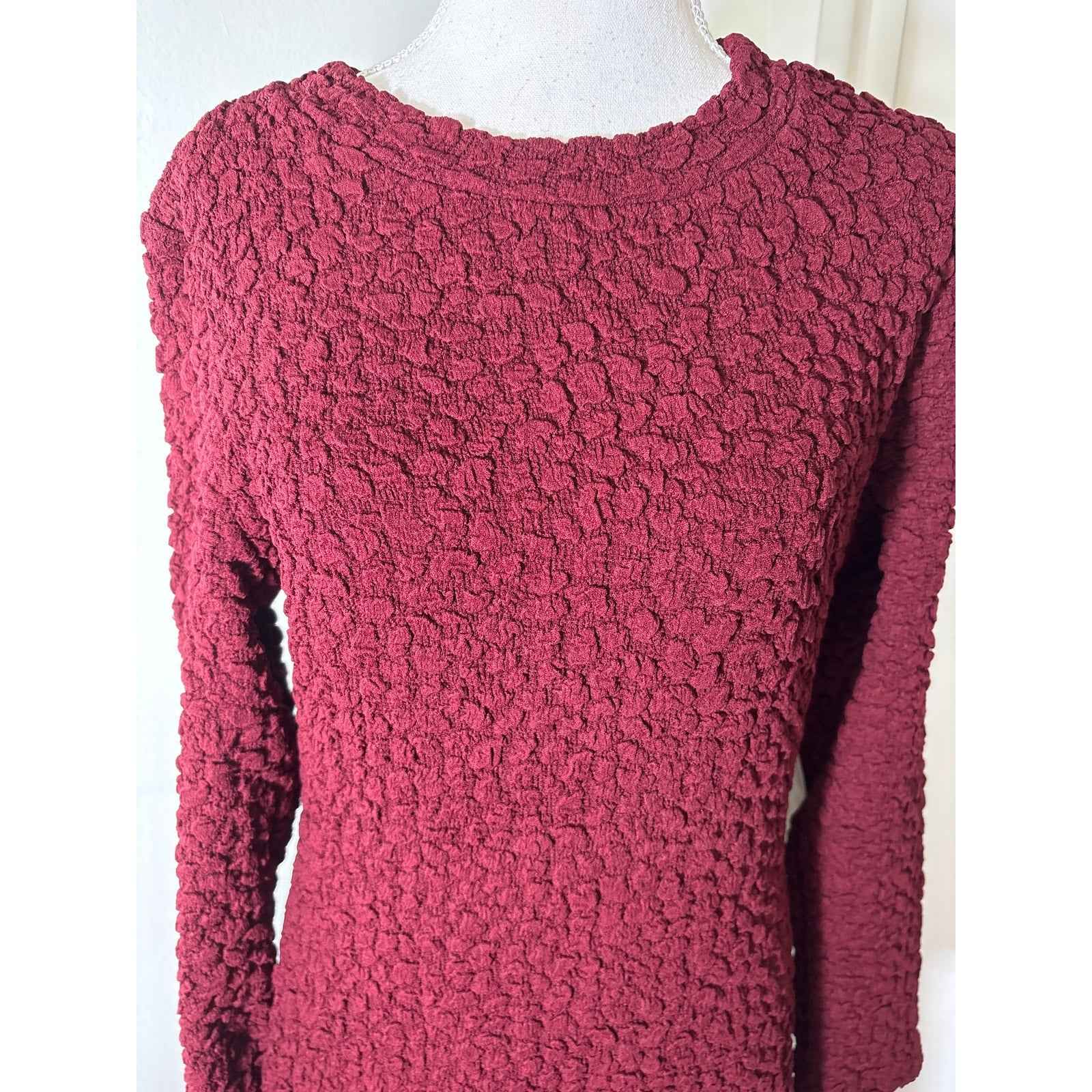 NWT Hyacinth House Dark Red Long Sleeve Textured Column Maxi Dress Sz S