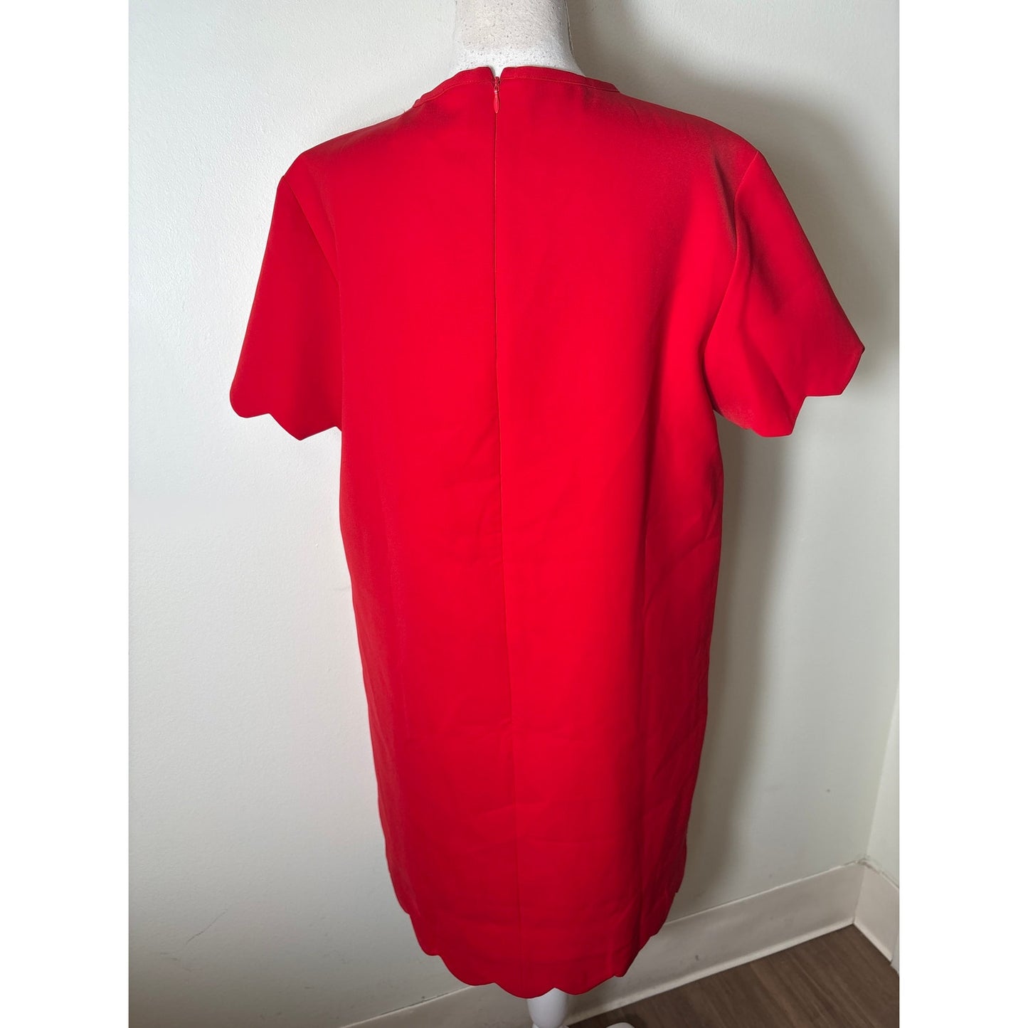 NWT English Factory Classic Red Short Sleeve Knee Length Dress Sz L