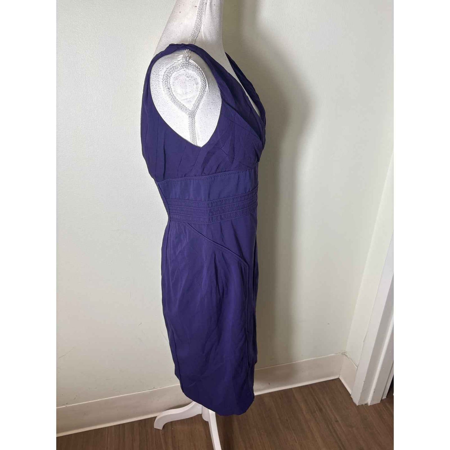 Zac Posen Dark Purple Sleeveless V-Neck Knee Length Dress Sz 12