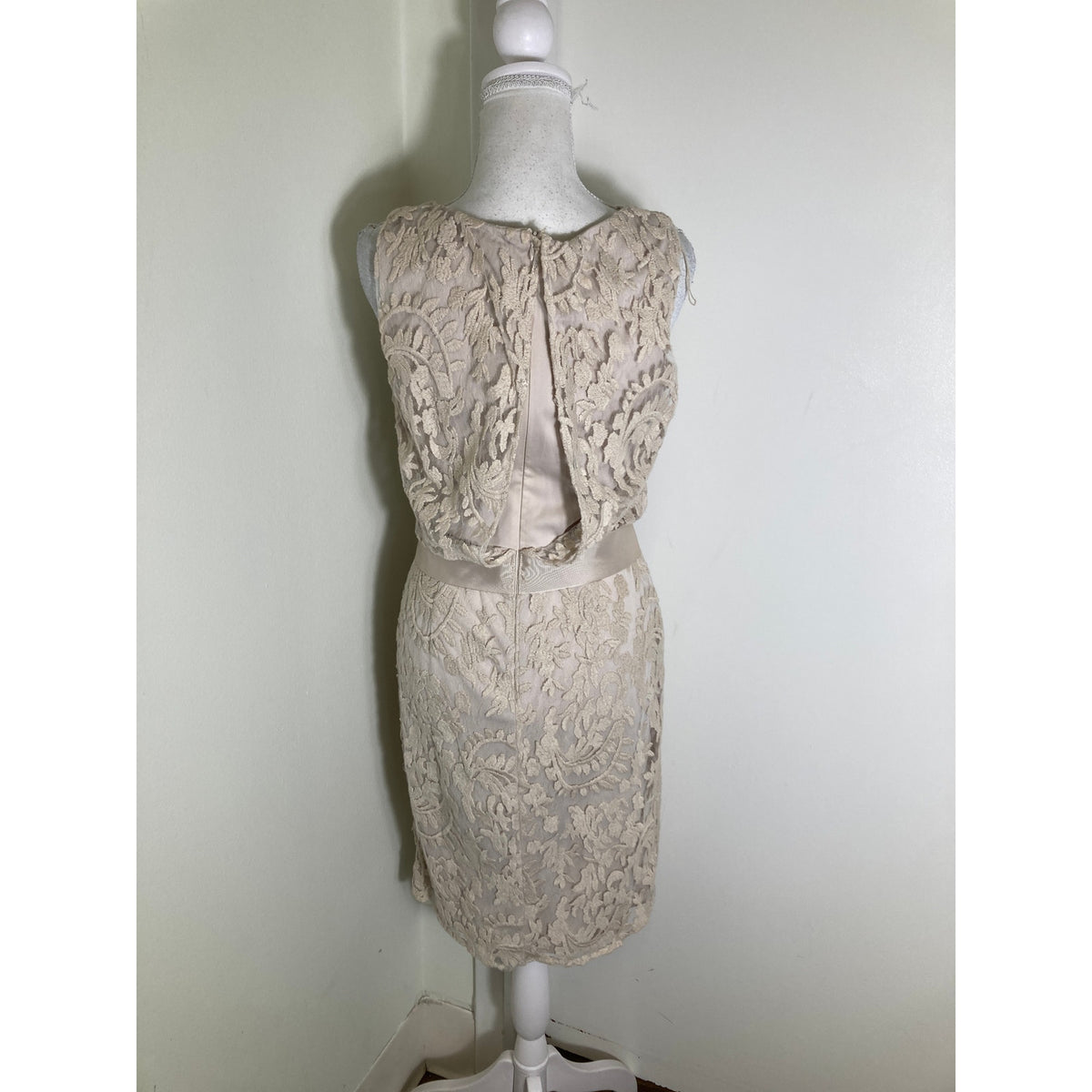 Adrianna Papell Bone Sleeveless Knee Length Dress with Lace Overlay Sz 6
