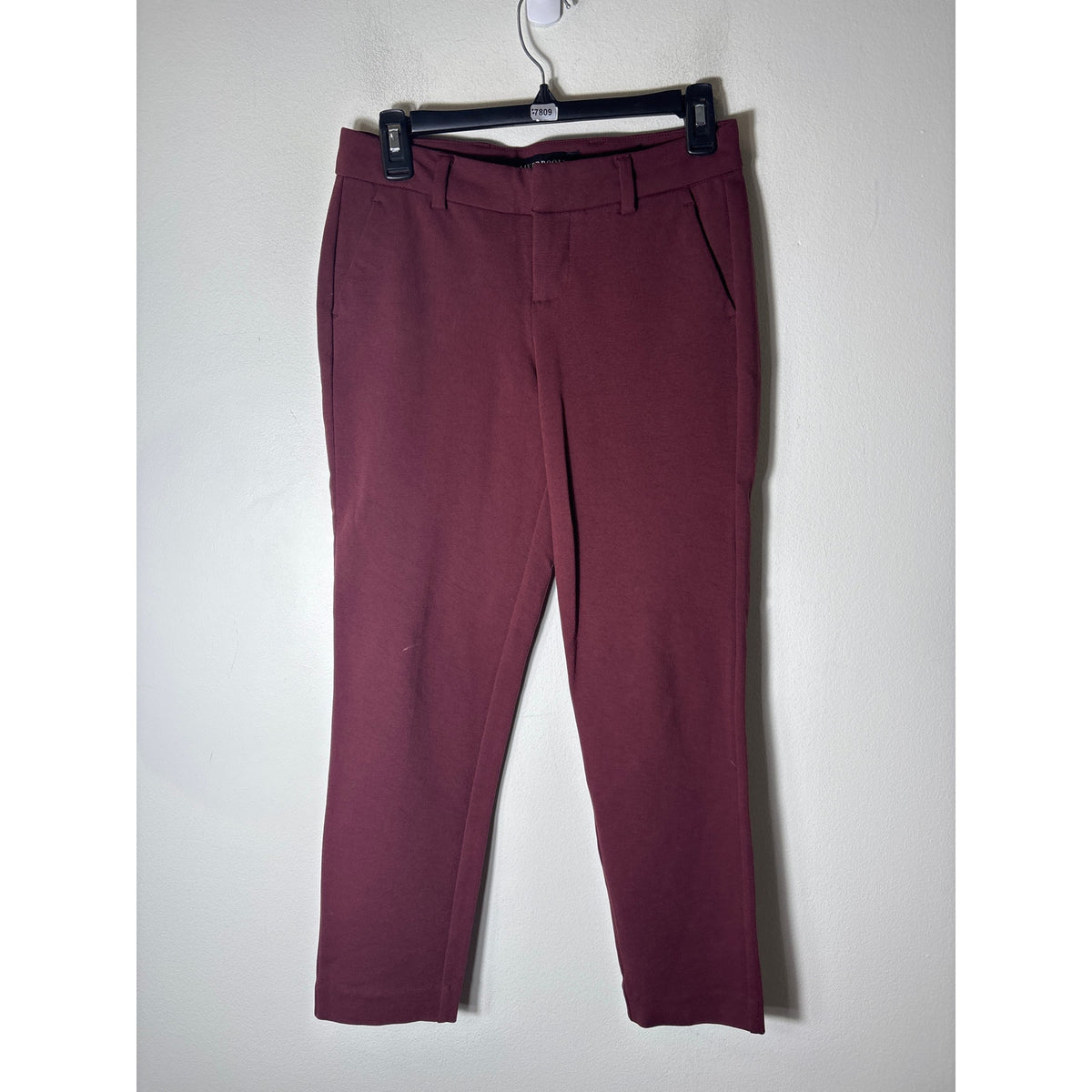 Liverpool Maroon Straight Leg Dress Pants Sz 2P